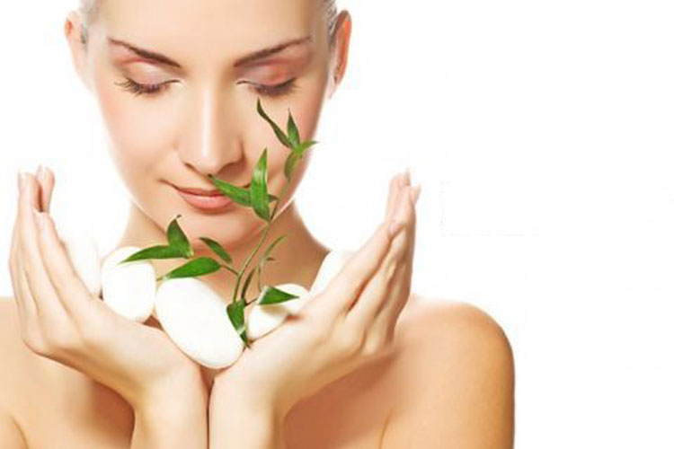 Beauty Therapist